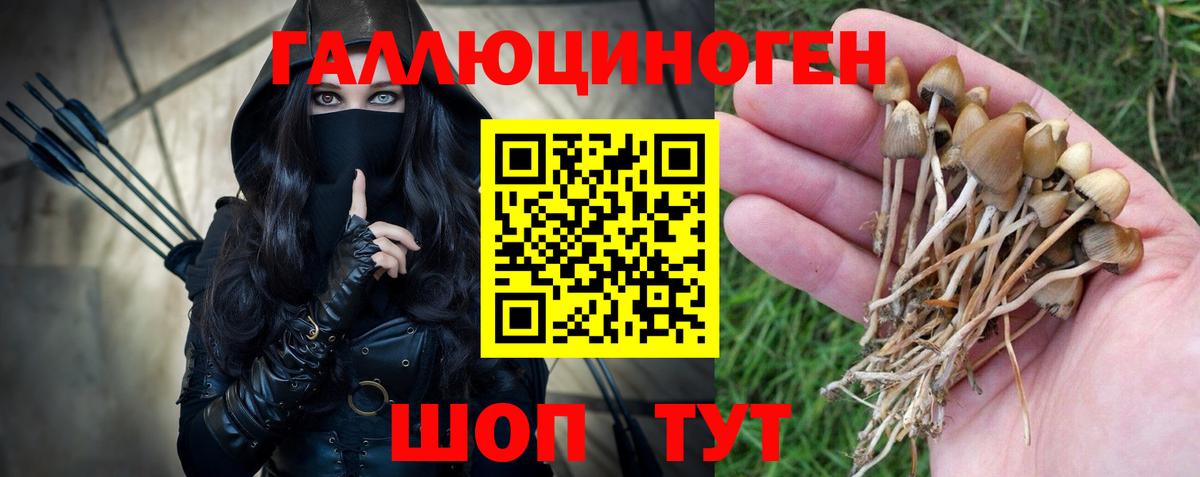Псилоцибиновые грибы ЛСД Ирбит