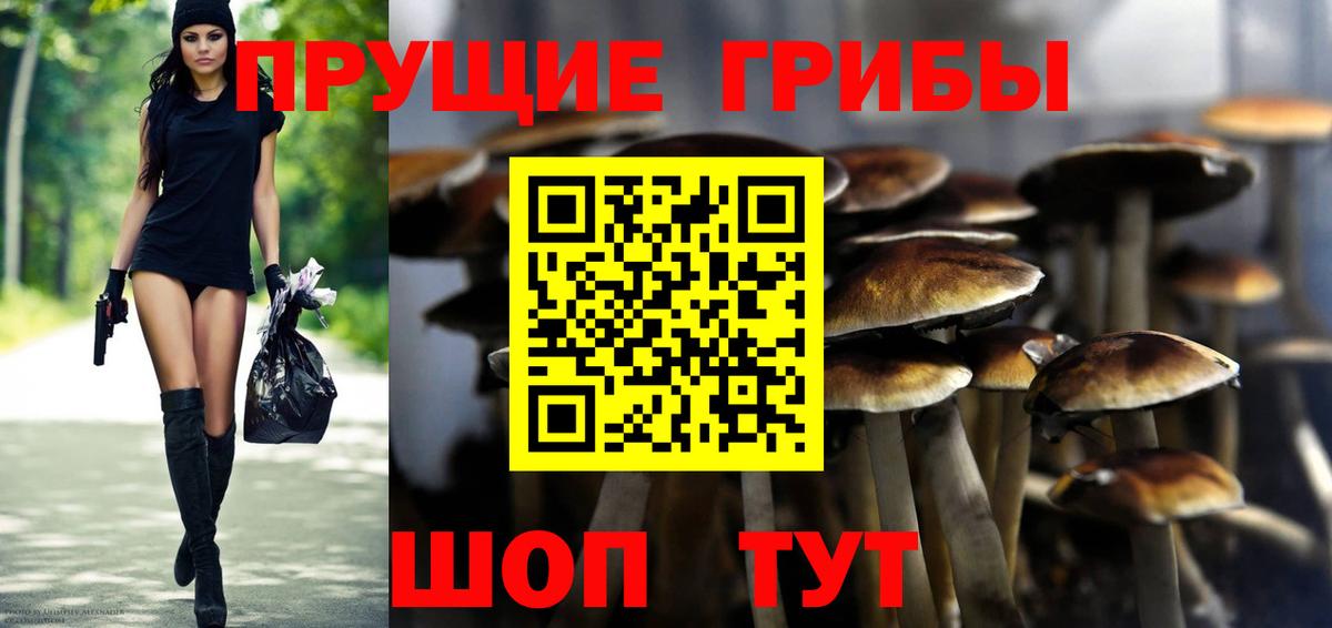 Галлюциногенные грибы MAGIC MUSHROOMS  Вход с VPN  Ирбит 